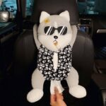 WhatsApp Image 2025-05-20 at 06.34.11